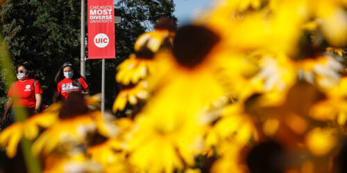 Two students walk on UIC's campus near a landscaped field of yellow flowers. Banners that note UIC's status as the most diverse university in Chicago are in the background.